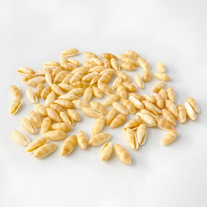 Conchas de arroz pequeñas, conchas marinas pequeñas para hacer joyería, venta al por mayor de cuentas de conchas marinas al precio más bajo. - Product Image 1