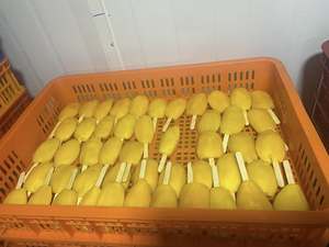 มะม่วงแท่งแช่แข็ง ทำจากมะม่วงสุก ใช้สำหรับสมูทตี้ น้ำผลไม้ ของหวาน และเป็นวัตถุดิบนำเข้าจากเวียดนาม - Product Image 5