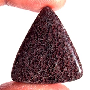Piedras Preciosas de Hueso de Dinosaurio Natural al por Mayor, Cabujones Sueltos de Formas Mixtas 20-40mm, Grado AAA, Certificadas por Terceros, para Sanación Energética - Product Image 1