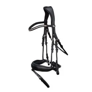 Leather horse bridle