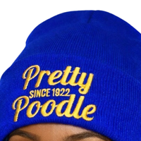 Joli bonnet bleu Poodle pour femme, bonnet tricoté brodé, chaud pour l'hiver, décontracté et élégant