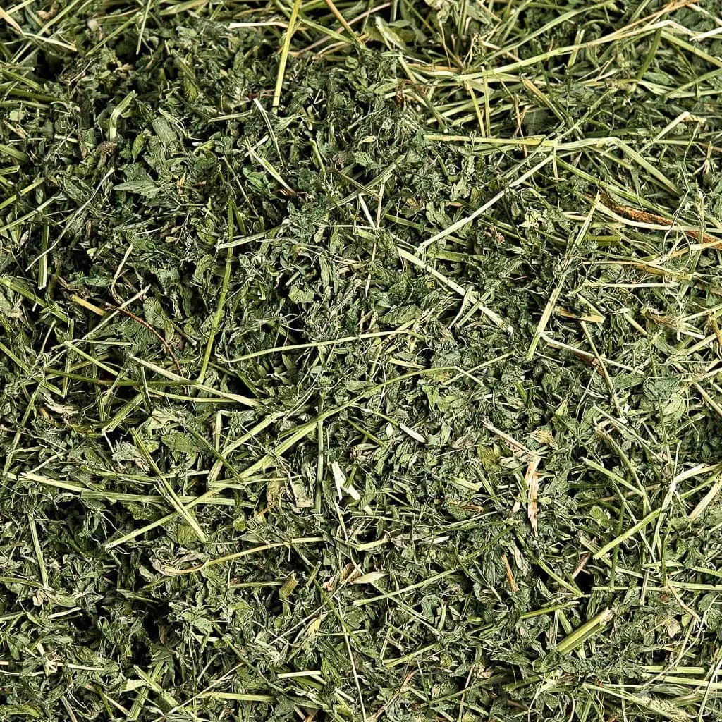 Heno de alfalfa orgánico de primera calidad a un precio muy barato Calidad Rhodes Grass Hay Alfalfa