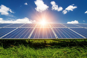 50W Polycrystalline Solar Panel 32 Cut Cells-5BB 505x665x30 mm 14.10% Efficiency Best Price Export United <b>Kingdom</b> Bulk Supply - Product Image 2