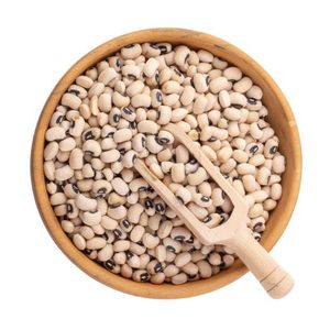 Extracto de Vigna Unguiculata en Polvo, Fabricante de la India, Patil Foods - Product Image 1