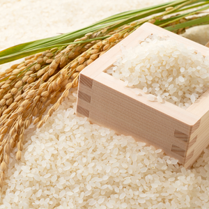 Arroz Japonica Premium a Granel, Orgánico, Sin OMG, Grano Corto, Blanco y Integral, Precio Directo de Fábrica, Venta al por Mayor, Precio Económico - Product Image 6