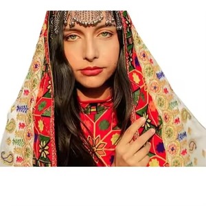 Portrait en gros plan d'une femme portant un voile dupatta brodé multicolore très détaillé, orné de motifs traditionnels argentés - Product Image 5