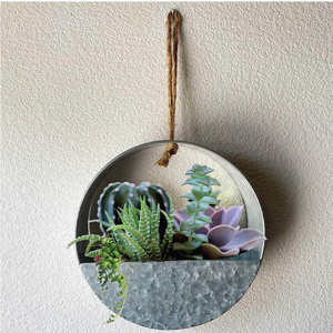 Maceta colgante galvanizada para decoración de pared interior, maceta para suculentas, decoración del hogar, soporte de metal rústico para plantas con montaje de cuerda. - Product Image 1