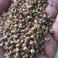 Graines d'épinards hybrides F1 ZA - Haute Rendement, Emballage en Sacs Poly, Durée de Conservation Stable, Usage Agricole, Prix Abordable