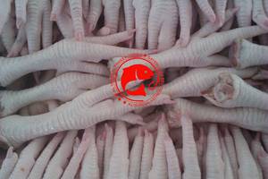 Patas de Pollo Congeladas, Limpias, Calidad Premium, Procesadas con Cuidado, Textura Natural, Ideales para Preparaciones Culinarias de Platos Tradicionales - Product Image 5