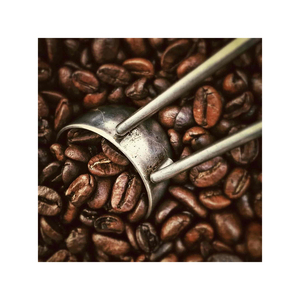 เมล็ดกาแฟอาราบิก้าคั่วสด รสชาติเข้มข้น สำหรับชงดื่มทุกวันและเพลิดเพลิน - Product Image 1