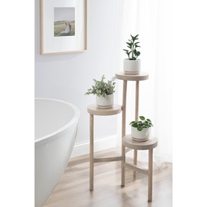 Handcrafted Mango Wood Plant Stand Modern Minimalist Design Wholesale India - Product Image 2