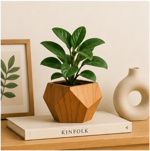 Maceta Geométrica Moderna de Madera, Minimalista, Facetada, para Suculentas, Hecha a Mano, Decoración Sostenible para Escritorio, Hogar y Oficina - Product Image 2