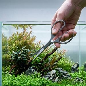 Ciseaux aquatiques en acier inoxydable de 6,5 pouces pour l'entretien des aquariums, fourniture OEM - Product Image 1