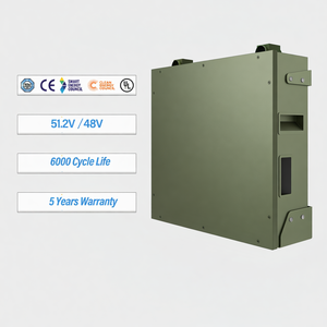 Batterie au lithium Erhtwone 51,2 V 5,12 kWh Bx51100 Power Wall 51,2 V 100 Ah Lifepo4 pour système de stockage solaire domestique - Product Image 4