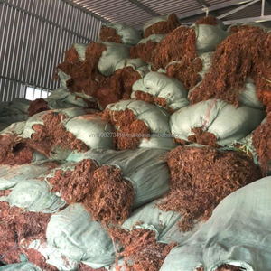 Algas Sargassum Secas 100% Puras de Binh Thuan, Vietnam, para Fertilizante y Alimento para Animales - KMI - Product Image 4