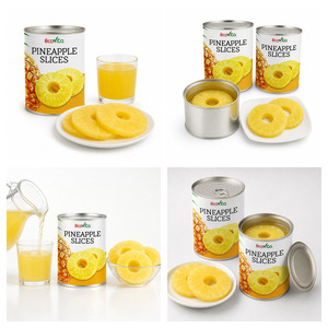 Delicious Vietnam Manufacturer Supply Low Price Canned Pineapple Slices in Pineapple Juice Customized Packaging - Product Image 1