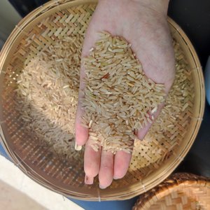 Exportador de Arroz Blanco de Vietnam |   Arroz Fresco de Grano Largo Orgánico, Probado en la UE, Muestra Gratuita |   Contacte a la Sra. Aurora +OO84919574297 - Product Image 3