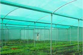 Bâche de protection contre les intempéries en HDPE pour plantations - Product Image 4