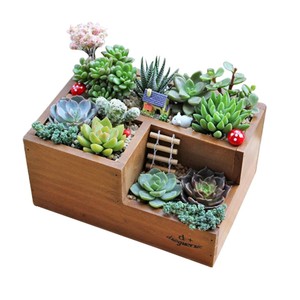 Jarrones y macetas de madera de roble, OEM, personalizados, venta al por mayor |   Aqdus Saleem India - Product Image 6