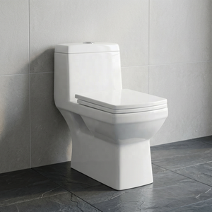 Latest Home Hotel And Hospital Use Ceramic Sanitary Ware Products Rimless One Piece Toilet Seat - Product Image 3