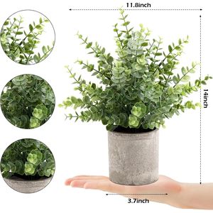 Paquete de 2 Plantas Artificiales de Eucalipto Pequeñas de 14 Pulgadas en Maceta, Plantas Falsas para Decoración de Estantes y Mesas de Centro, Follaje Realista para Realzar la Decoración - Product Image 2