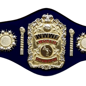 Ceinture de champion du monde de la WWE, ceinture de championnat de lutte personnalisable, édition de collection de haute qualité - Product Image 2