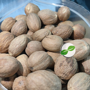 Nuez Moscada Entera de Indonesia – Origen Isla de Sulawesi, Sabor Intenso, Aroma Natural, Ideal para Venta al por Mayor y Empaquetado OEM - Product Image 6
