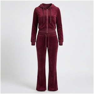 <b>Women</b> <b>Velvet</b> Hooded Tracksuit Full Length Zipper Sweatshirt Pants Set Solid Color Casual Autumn Wear - Product Image 1