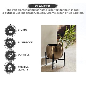 Macetero de hierro premium para el hogar, perfecto tanto para uso en interiores como en exteriores, como son oficinas y hoteles, para exportación mundial desde India. - Product Image 4