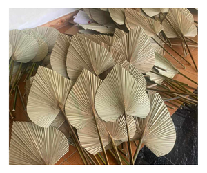 พัดมือไม้ไผ่ลายใบปาล์มแบบวินเทจ เป็นมิตรกับสิ่งแวดล้อม สำหรับใช้ในฤดูร้อน - Product Image 3