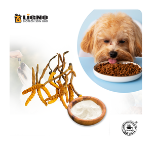 LiGNO OCS02 ®   Polvo de Ophiocordyceps - Ingrediente de Suplemento para Energía y Vitalidad de Mascotas Mayores - OEM Malasia - Product Image 1