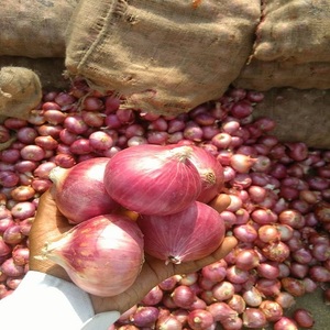 ลดราคาสุดๆ! หัวหอมแดงคุณภาพสูง สดใหม่ 100% ออร์แกนิค เกรดพรีเมียม รสเผ็ดร้อน ผลิตจากเวียดนาม ราคาดีเยี่ยม สำหรับขาย/ส่งออก - Product Image 2