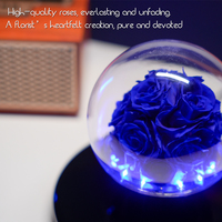 Cadeau romantique de la Saint-Valentin décor de chambre à la maison lumière LED lévitation magnétique flottant infini immortel stabilisé Rose éternelle