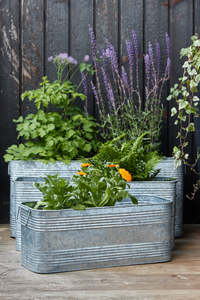 Wholesale Price Best Rustic And Galvanized Metal Outdoor Large Size Metal Garden Decorative <b>Planters</b> Pots - Product Image 4
