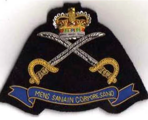 Insignia Bordada a Mano de Alta Calidad para Blazer, Insignia de Ala Personalizada para Uniforme con Pin de Seguridad, Efecto 3D en Relieve, Calidad Premium - Product Image 3