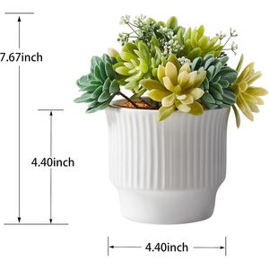 Vasi in Ceramica Bianca per Arredamento Casa, Piante Succulente Artificiali Assortite, Piante Finte per Camera da Letto e Scrivania Ufficio - Product Image 3