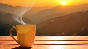 Café Vietnamita Tradicional, Mezcla de Robusta y Arábica 70%30%, Granos de Café Enteros, Personalizable OEM/ODM, Empacado en Bolsa de 1 kg - Product Image 3