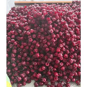 Fleurs d'hibiscus fraîches de haute qualité du Vietnam – Ingrédients naturels de roselle pour les acheteurs internationaux - Product Image 5