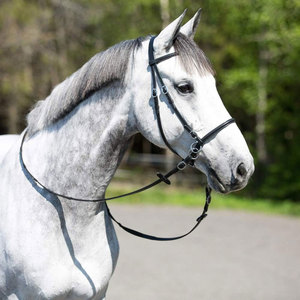 Bridas de Cuero de Alta Calidad para Montar a Caballo - Cómodas, Precio Razonable, Hechas en Pakistán - Product Image 2