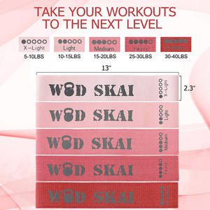 Bandas de Resistencia para Ejercicio, Juego de 5 para Mujeres y Hombres, Bandas Elásticas para Ejercicio, Fisioterapia Personalizada - Product Image 2