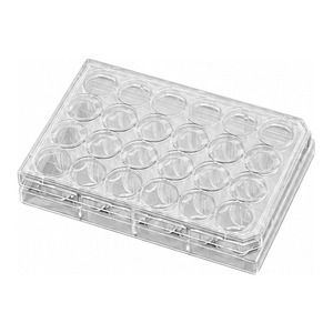 Insertos de Cultivo Celular de PET con BioCoat Control de Corning para Investigación de Migración e Invasión - Product Image 2
