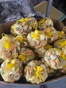 [ขายส่ง] เปลือกหอยหลากสีทำมือรักษ์โลก เปลือกหอยธรรมชาติสำหรับงานเรซิ่น ตกแต่งขวดแก้ว DIY ของตกแต่งบ้าน - Product Image 2