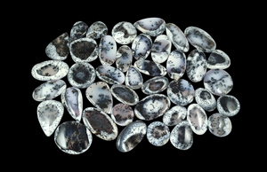 Radha Arts Natural <b>White</b> Gray Dendrite Opal Mix Shape Cabochon Gemstone Flat Back Free Sizes Loose Gemstones Rajasthan for - Product Image 3