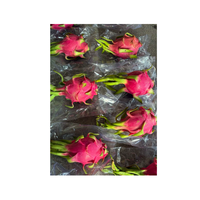 Premium kwaliteit roze verse drakenvrucht, zoet en sappig, 100% natuurlijk, graad A, exotisch fruit voor detailhandel en voedingsindustrie.