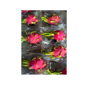 ผลมังกรสีชมพูคุณภาพพรีเมียม หวานฉ่ำ สดใหม่ 100% ผลไม้ธรรมชาติ เกรดเอ สำหรับขายปลีกและอุตสาหกรรมอาหาร - Product Image 4