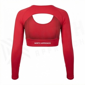 <b>Red</b> <b>Long</b> <b>Sleeve</b> <b>Crop</b> <b>Top</b> Scoop Neck Cut-Out Seamless Breathable Yoga Wear Women's Sportswear - Product Image 2