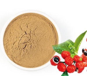 Poudre d'extrait de Guarana 100% pure à mailles fines, qualité alimentaire, à base de plantes, pour un soutien nutritionnel et la santé - Product Image 6