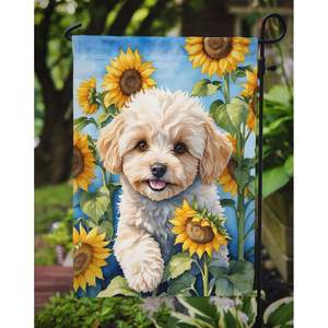 Maltipoo girasoles jardín bandera Multicolor decorativo patio Banner para Patio ilustraciones buzón y camas de flores para espacios pequeños - Product Image 3