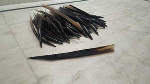 Haute qualité 50 cm de long noir et blanc Ox Buffalo Shoe Horn Style animal poli et élégant - Product Image 6