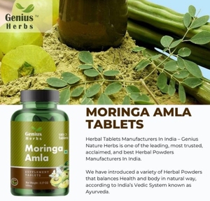 Tabletas Prensadas de Moringa Amla Premium 500 mg, Extracto Natural de Hoja y Fruto, Producto Herbal Rico en Antioxidantes, Bienestar Diario y Vitalidad - Product Image 4